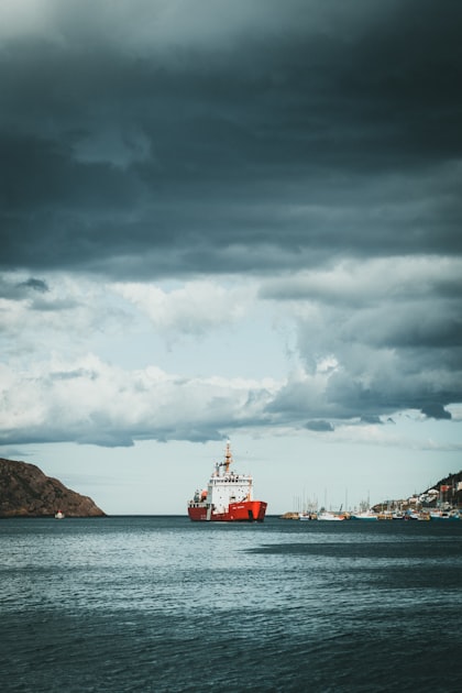 Bulk Carriers and Their Valuation